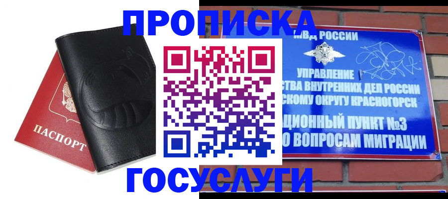 купить прописку в Камчатской области